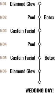 Graphic showing horizontal bars in varying shades with circular indicators on the right
