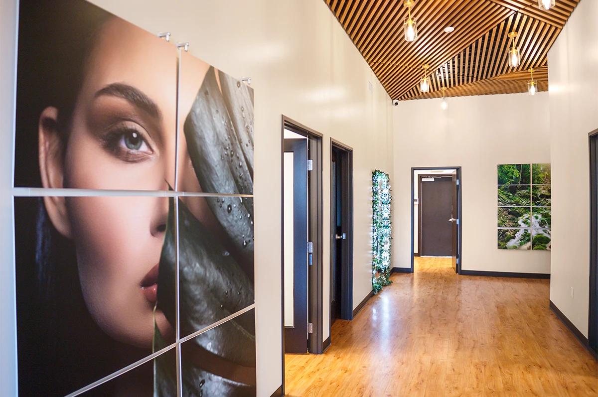 A hallway with artwork of a woman's face and nature on the walls, wooden ceiling, and doors
